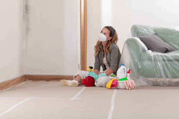 Reliable Black Mold Removal contractor in Brogue, PA by WQB Mold Removal
